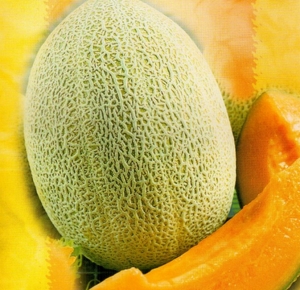 MELON 'Emir' F1