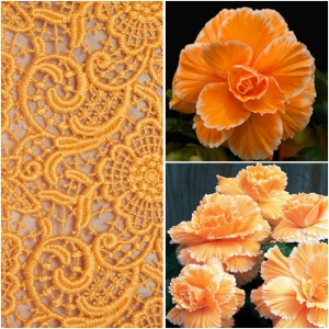 MUGULBEGOONIA Picotee Lace Orange