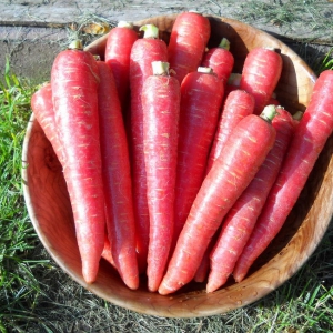 PORGAND 'Atomic Red'