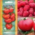 TOMAT 'Alegria' F1 