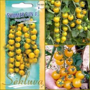 TOMAT 'Summer Sun' F1   