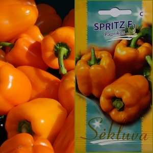 PAPRIKA 'Spritz' F1 