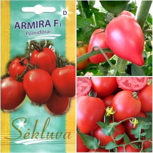 TOMAT 'Armira' F1  