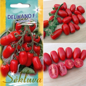 TOMAT 'Delikano' F1