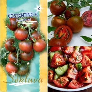 TOMAT 'Costantino' F1