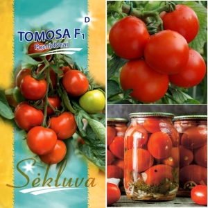 TOMAT 'Tomosa' F1