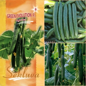 KURK 'Green Evolution' F1
