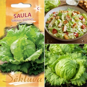 J&Auml;&Auml;SALAT 'Saula'