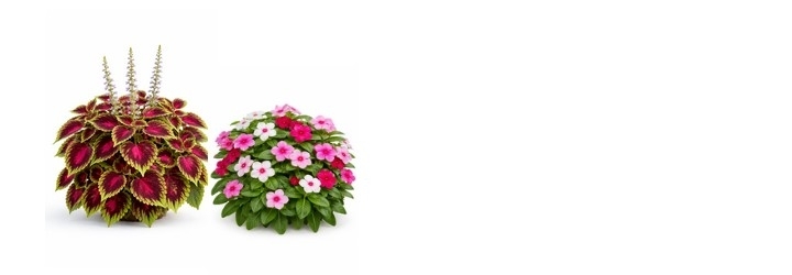 KIRIN&Otilde;GES, L&Otilde;UNAHALI ja P&Auml;RDIKLILL