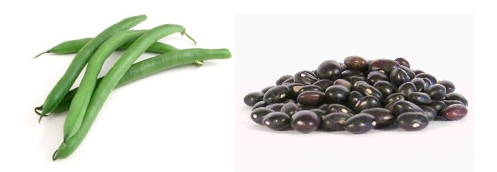 UBA UBA