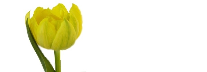 VARASED TÄIDISÕIELISED VARASED TÄIDISÕIELISED